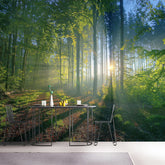 Tropical Call - All in one Wallpaper