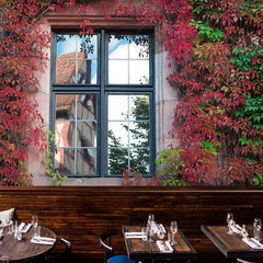 Pathway - All in one Wallpaper