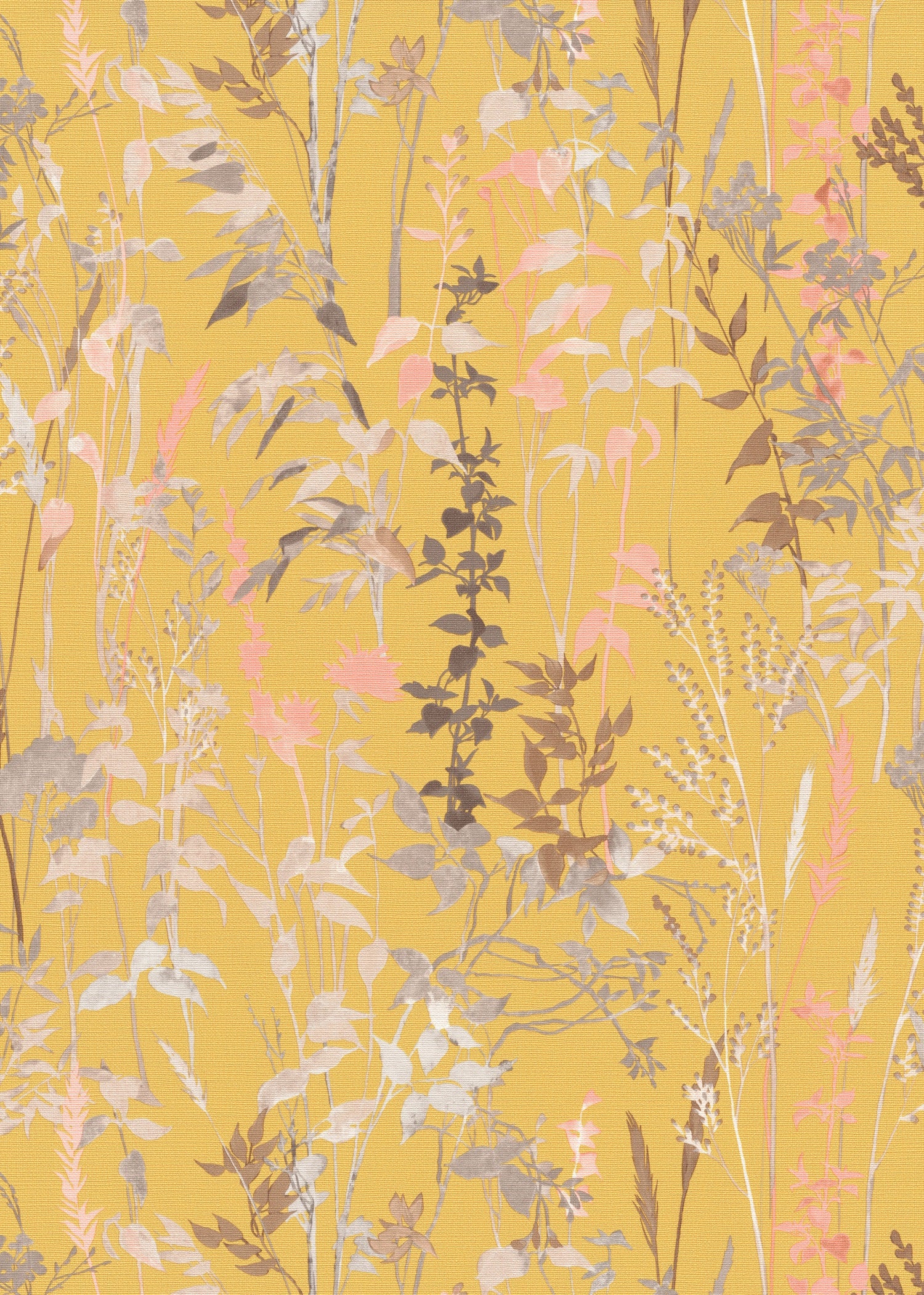 Mellow Apricot