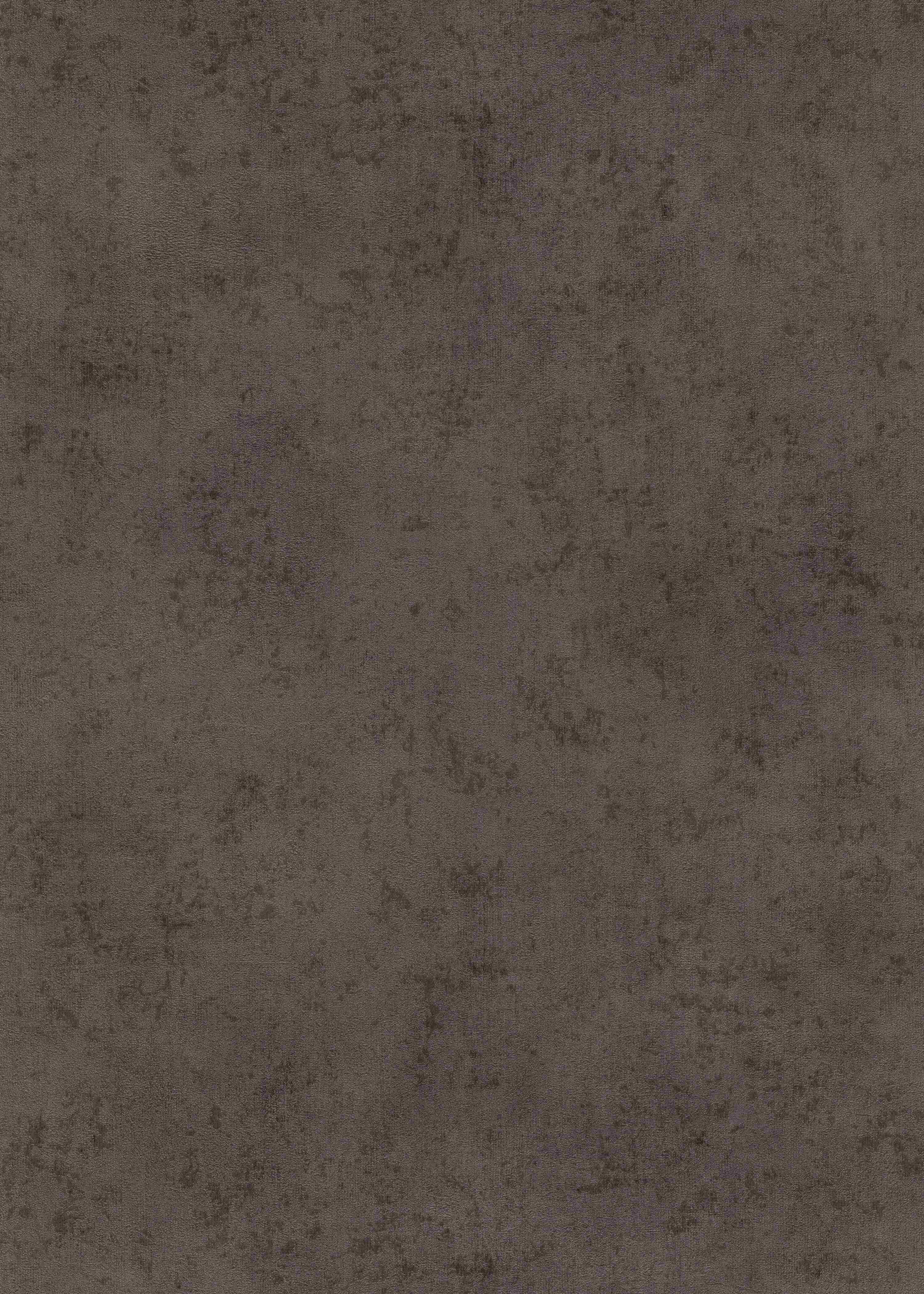 Black Olive 