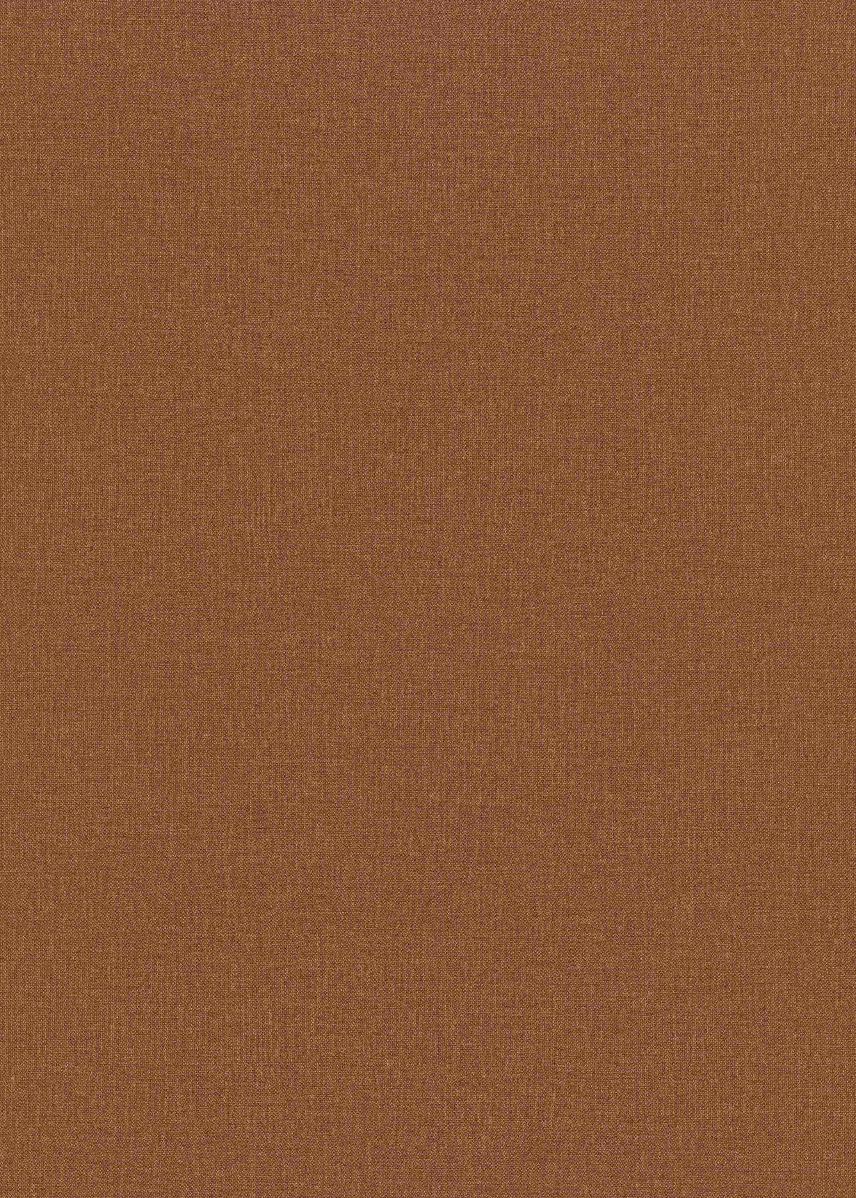 Liver Chestnut