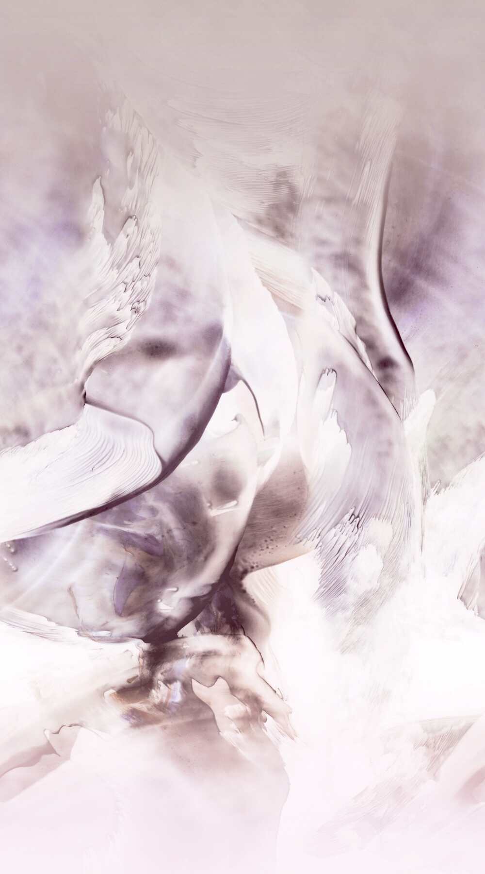Lilac Luster