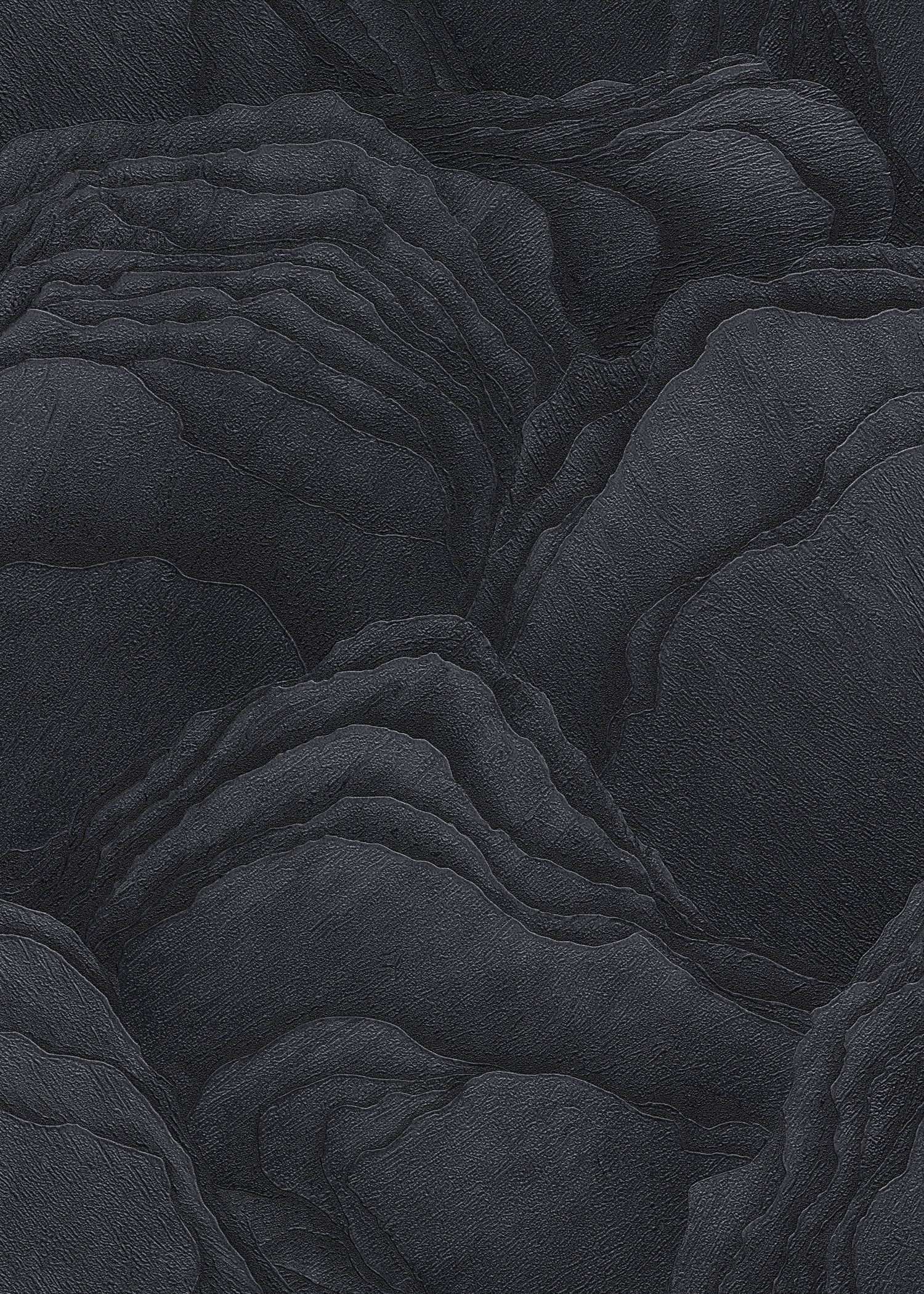 Raisin Black