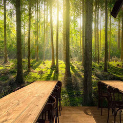 Fall - All in one Wallpaper