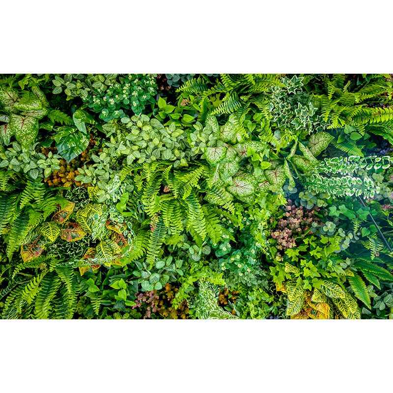 Floral Delicacy - All in one Wallpaper