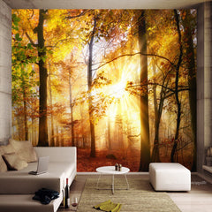 Shadow Dreams - All in one Wallpaper