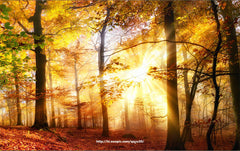 Shadow Dreams - All in one Wallpaper