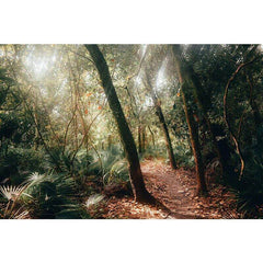 Subdued - All in one Wallpaper