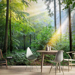 Touch Of Nature - All in one Wallpaper