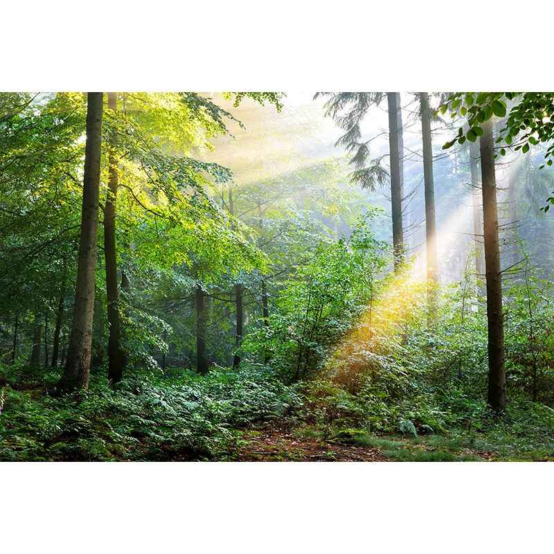 Touch Of Nature - All in one Wallpaper