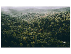 Traces Of Smoke - All in one Wallpaper