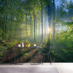 Tropical Call - All in one Wallpaper