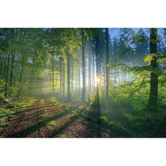 Tropical Call - All in one Wallpaper