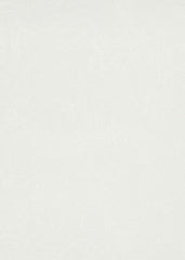 Bright Vitality - All in one Wallpaper