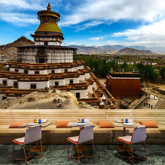 Cane Waves - All in one Wallpaper