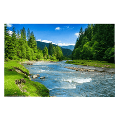 They Rise - All in one Wallpaper