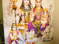 Swan Wings - All in one Wallpaper