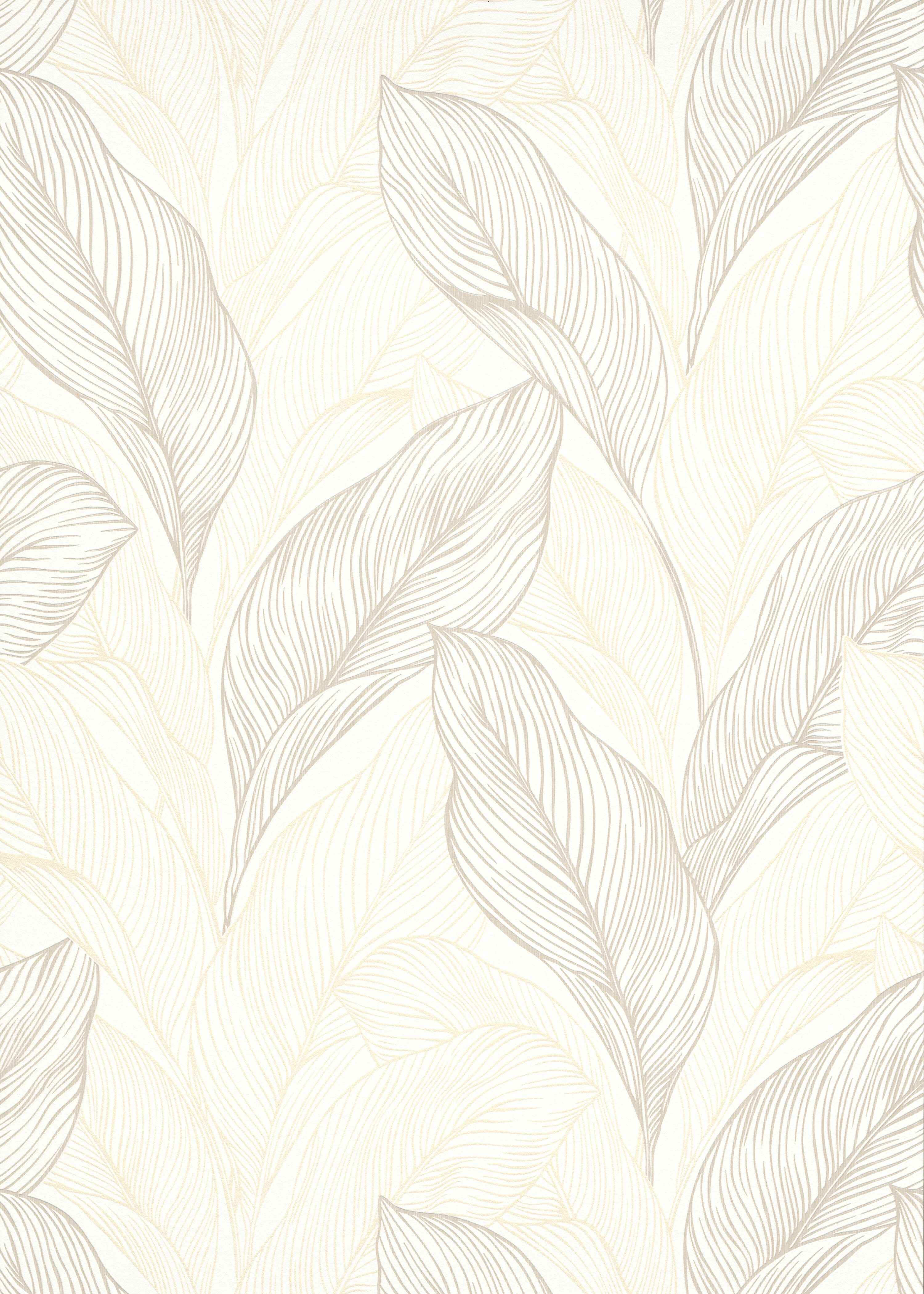 Old Lace
