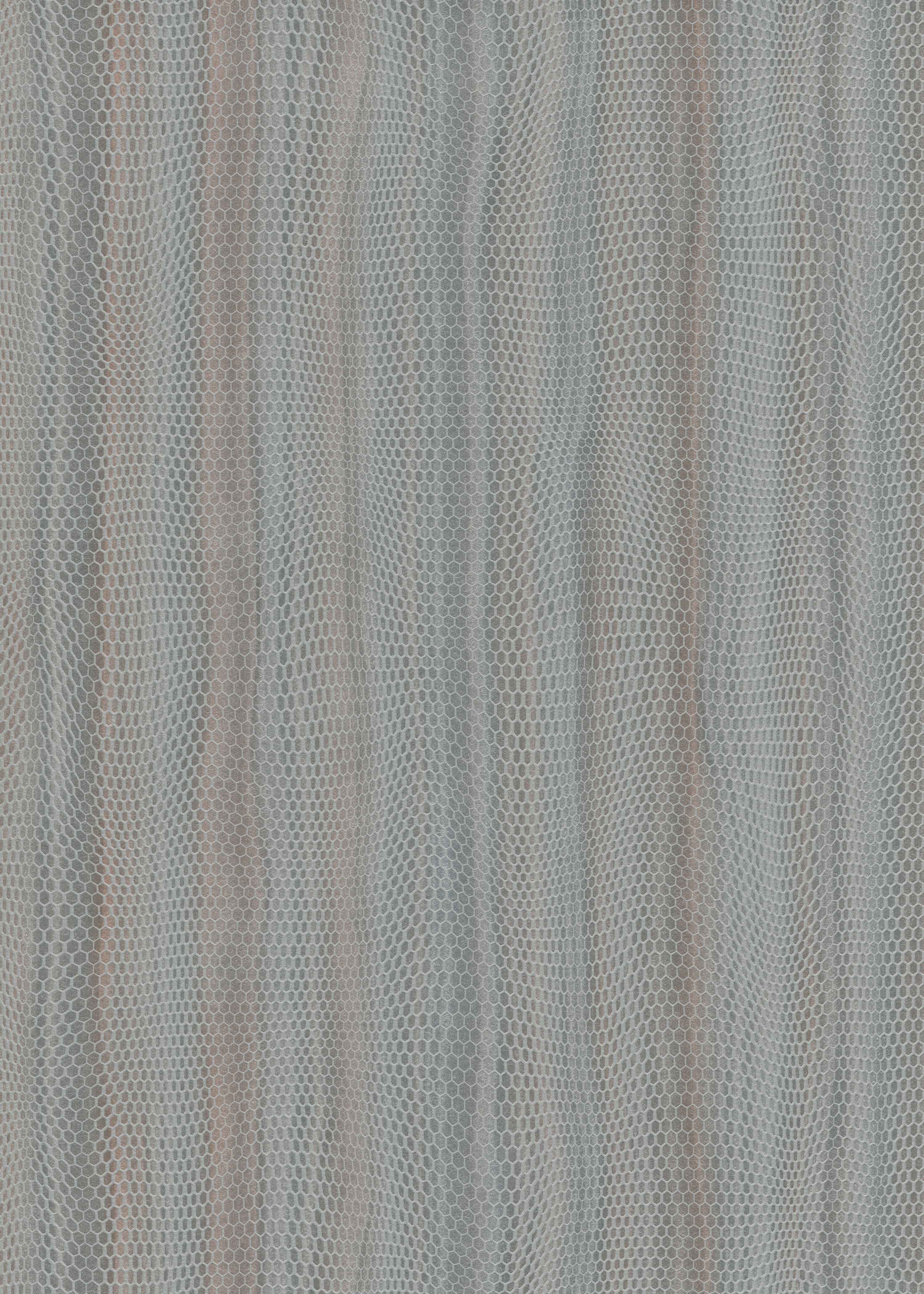 Philippine Gray