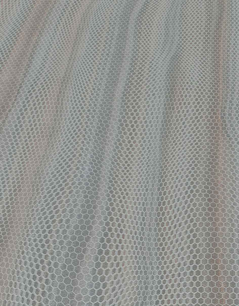 Philippine Gray