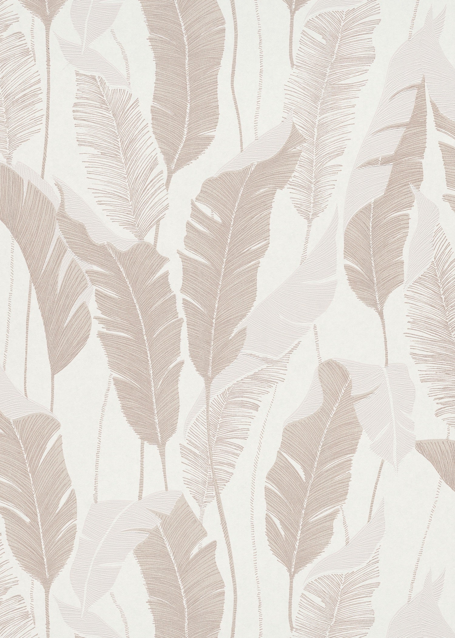 Leaves Of Fall - All in one Wallpaper