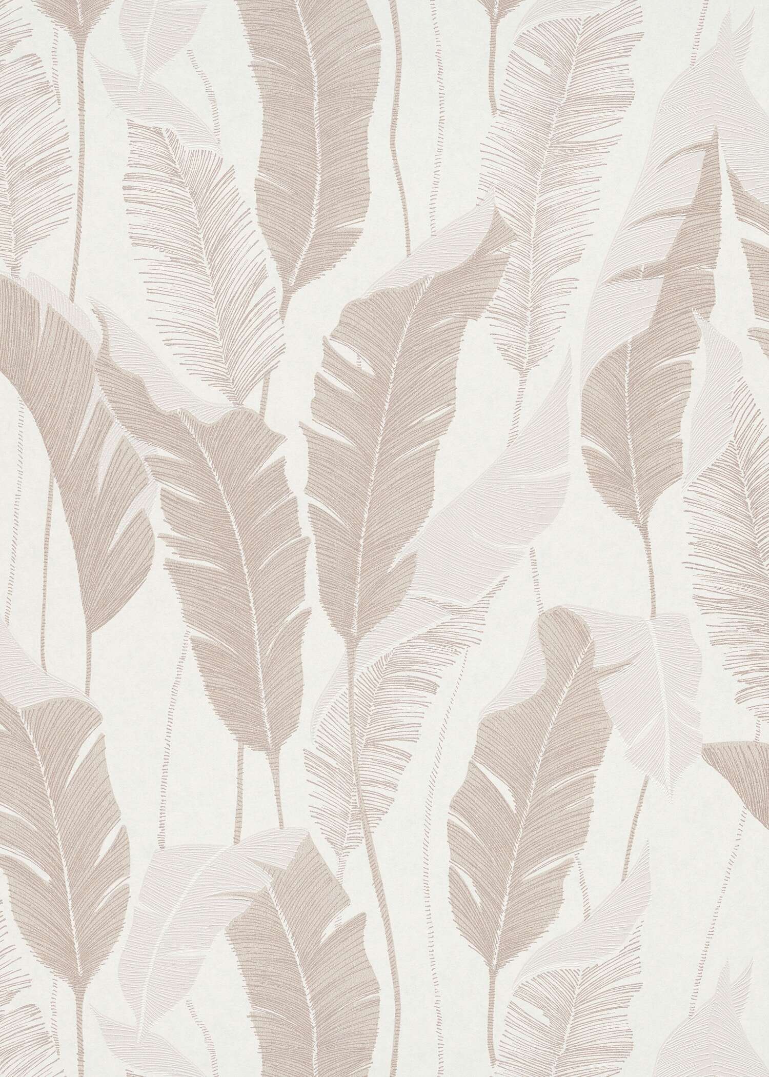 Nature - All in one Wallpaper