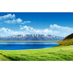 Basic - All in one Wallpaper